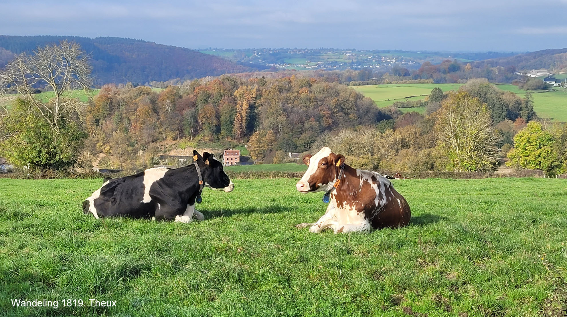 Wandelgids Zuid-Limburg