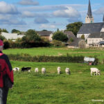 Wandeling 1884. Kettenis