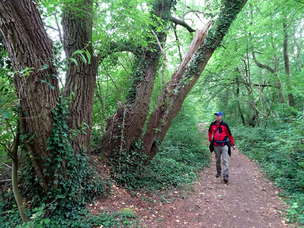 Wandelgids Zuid-Limburg