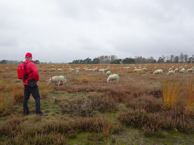 Wandelgids Zuid-Limburg